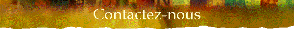 Contactez-nous