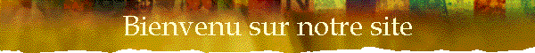 Bienvenu sur notre site