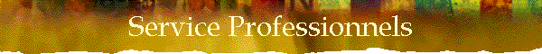 Service Professionnels
