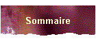 Sommaire