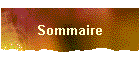 Sommaire