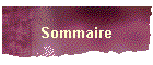 Sommaire