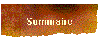 Sommaire
